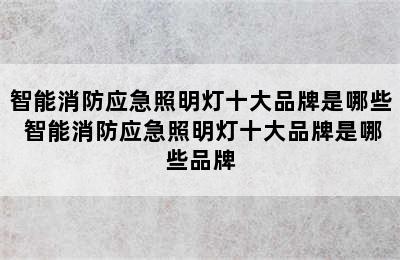 智能消防应急照明灯十大品牌是哪些 智能消防应急照明灯十大品牌是哪些品牌